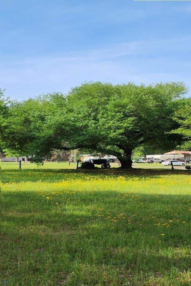 view of home's community featuring a yard