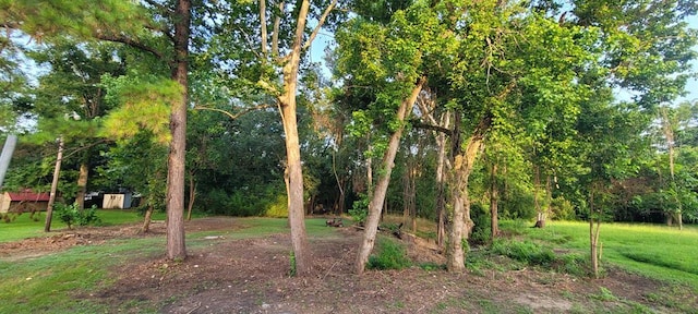 110 Hines St, Diboll, TX 75941 - view of grassy yard