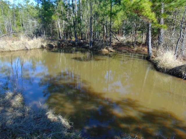 Listing photo 3 for R1043 County Road 403, San Augustine TX 75972