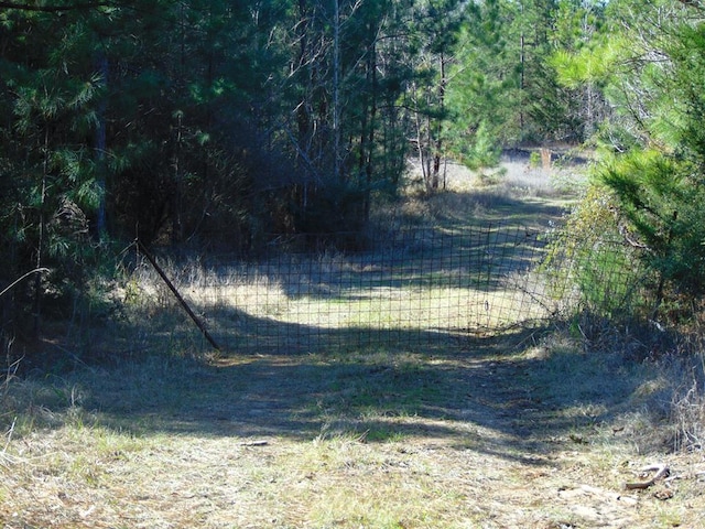 R1043 County Road 403, San Augustine TX, 75972 land for sale