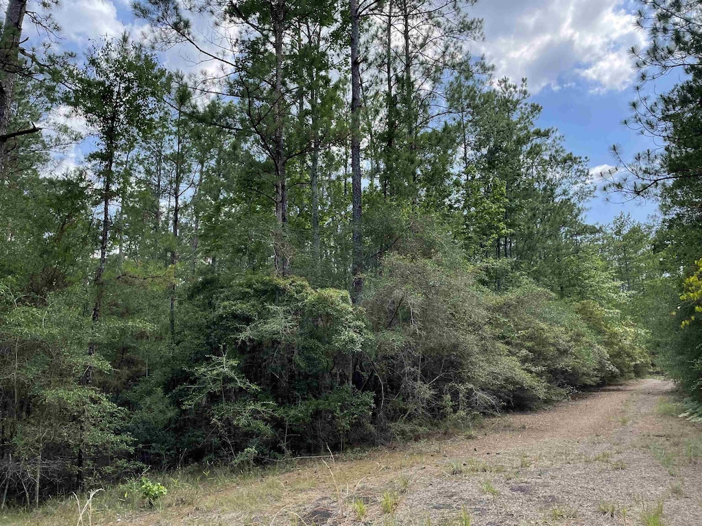 232 Sitka, Brookeland, TX 75931 - photo 1