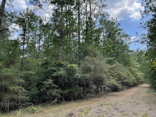 232 Sitka, Brookeland, TX 75931 - photo 1