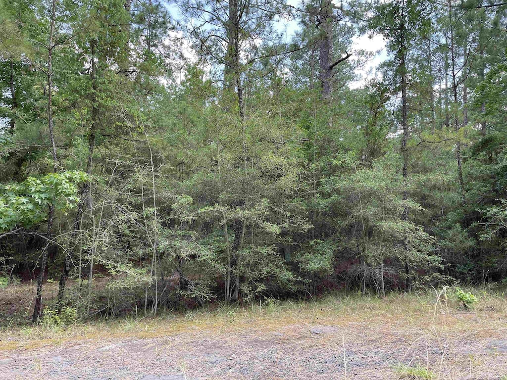 232 Sitka, Brookeland, TX 75931 - photo 3