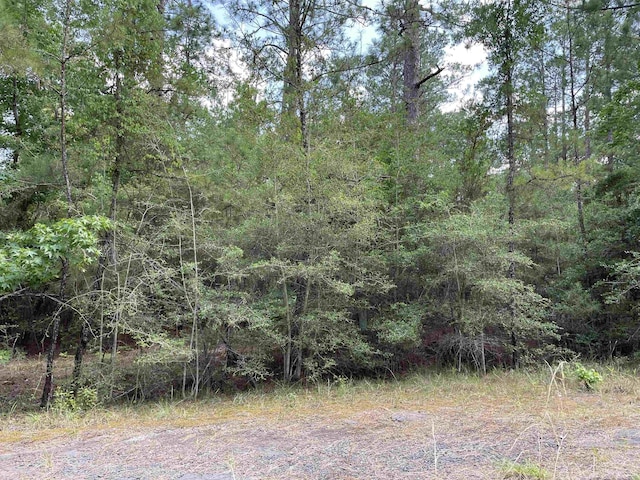 232 Sitka, Brookeland, TX 75931 - photo 3