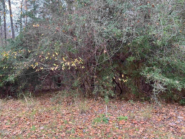 314 Apache, Brookeland, TX 75931