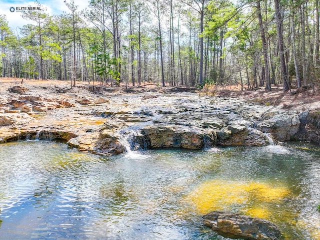 3535 Fm 1007, Brookeland, TX 75931 - water view
