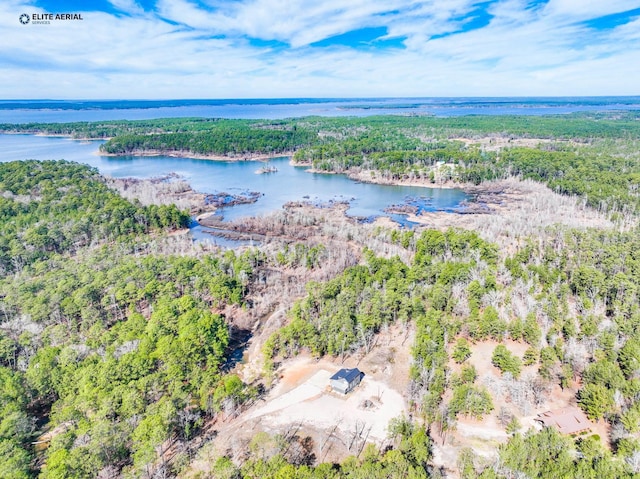 3535 Fm 1007, Brookeland, TX 75931 - bird's eye view of a heavily wooded area and a nearby body of water