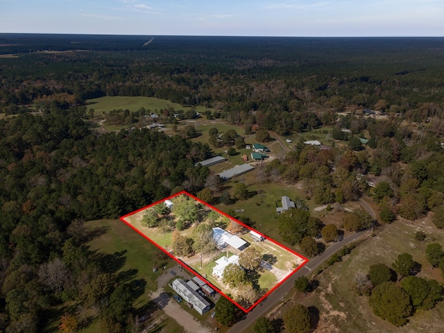bird's eye view with a forest view