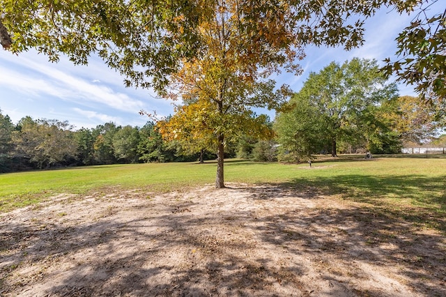 view of yard featuring a wooded view