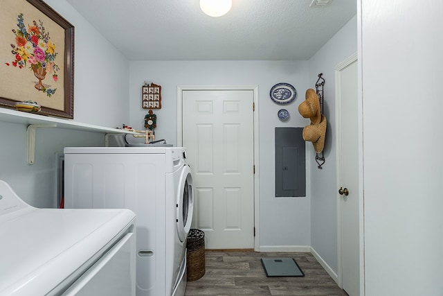 laundry area with wood finished floors, independent washer and dryer, electric panel, baseboards, and a textured ceiling