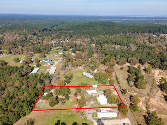 bird's eye view with a forest view