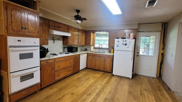 kitchen with light wood-type flooring, ornamental molding, white appliances, ceiling fan, and sink