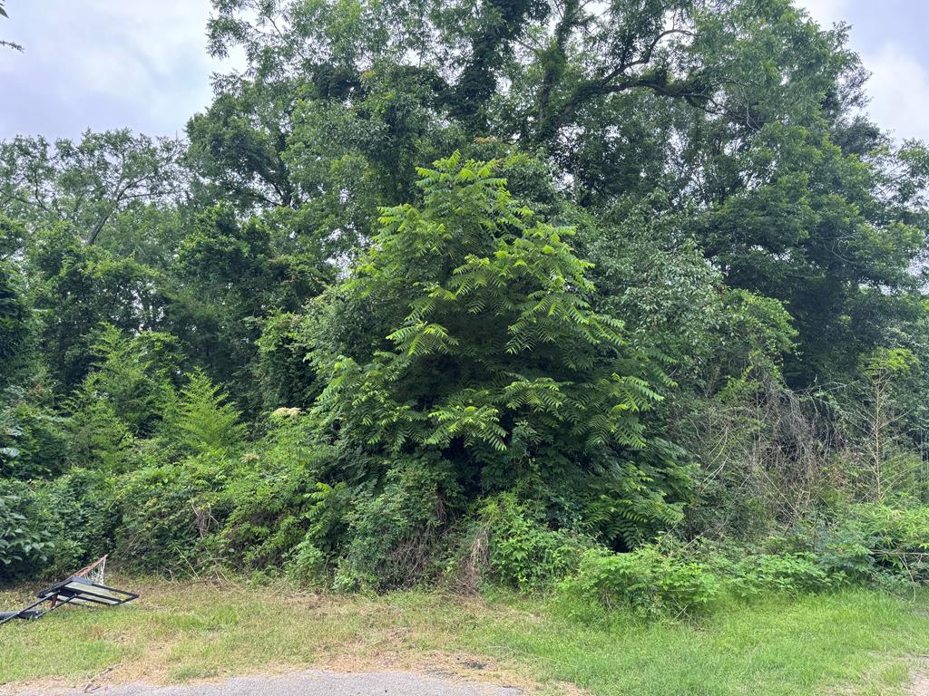 Lt5.2 Treadwell, Lufkin, TX 75904