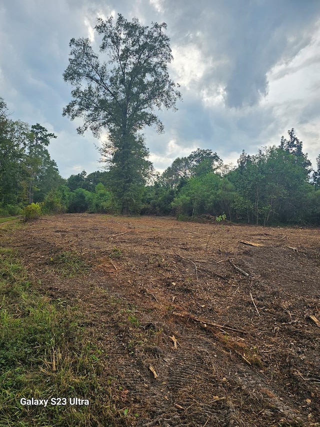 2606 Brentwood Dr, Lufkin, TX 75901 - view of nature