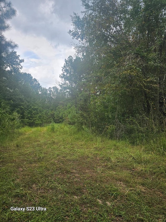 2606 Brentwood Dr, Lufkin, TX 75901 - view of woods