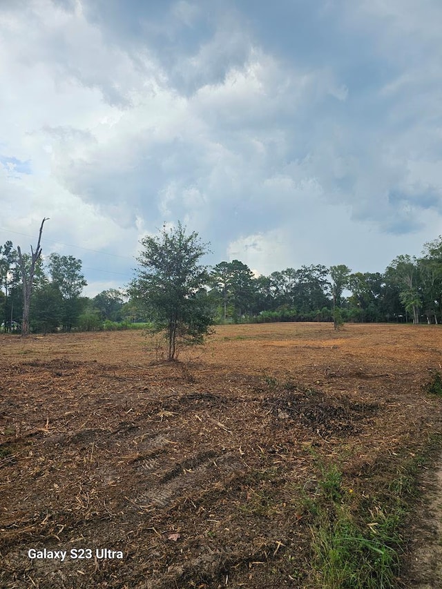 2606 Brentwood Dr, Lufkin, TX 75901 - view of undeveloped land with rural landscape