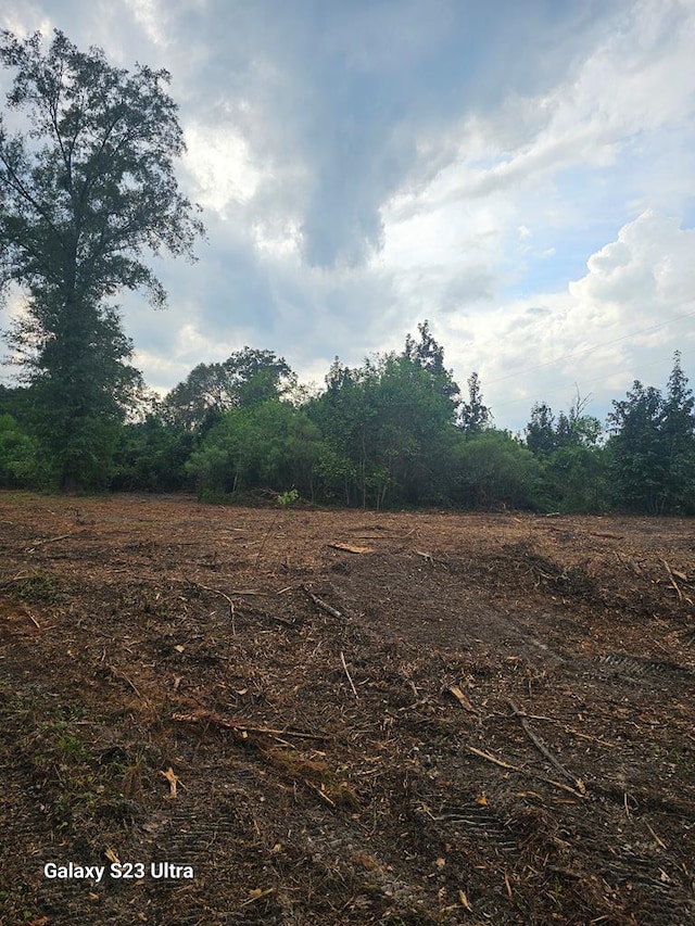 2606 Brentwood Dr, Lufkin, TX 75901 - view of nature