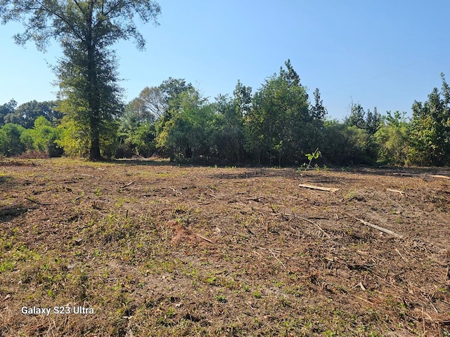 2606 Brentwood Dr, Lufkin, TX 75901 - view of local wilderness