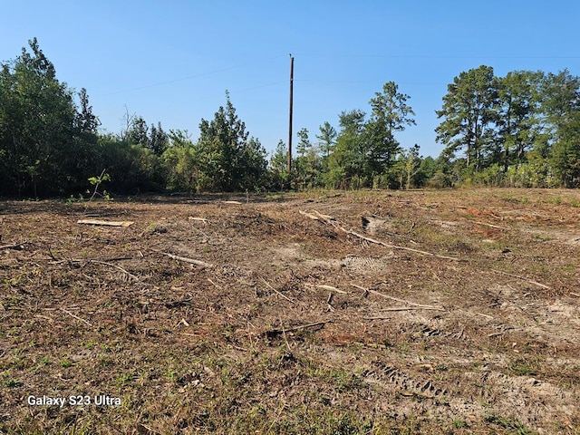 2606 Brentwood Dr, Lufkin, TX 75901 - view of nature