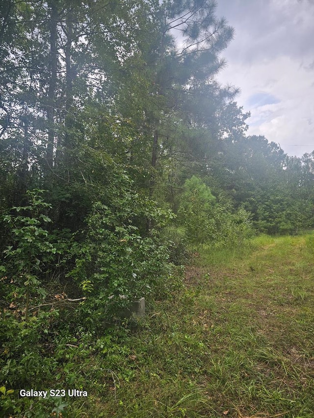 2606 Brentwood Dr, Lufkin, TX 75901 - view of woods