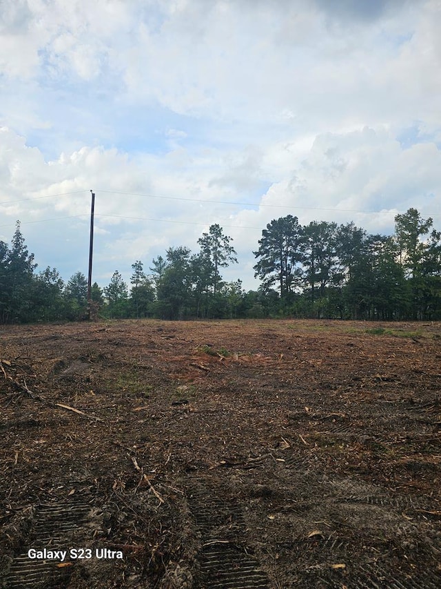 2606 Brentwood Dr, Lufkin, TX 75901 - view of local wilderness