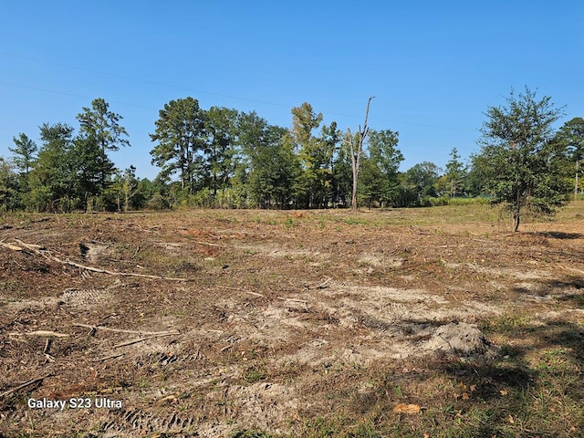 2606 Brentwood Dr, Lufkin, TX 75901 - view of local wilderness