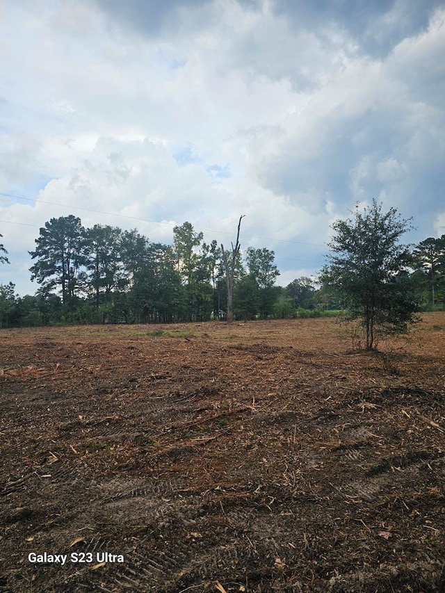 2606 Brentwood Dr, Lufkin, TX 75901 - view of yard