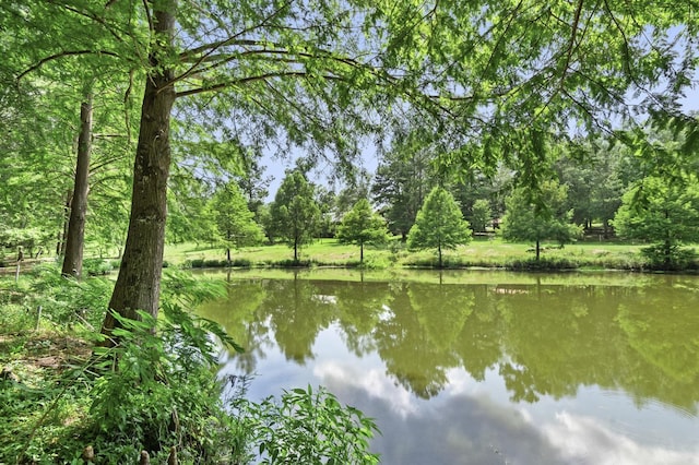 view of water feature