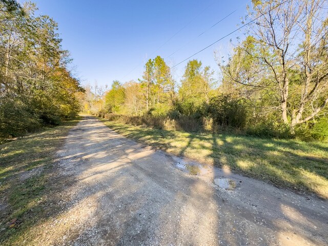 R75049 Walnut St, Huntington, TX 75949 - photo 3