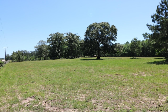 view of yard featuring a rural view