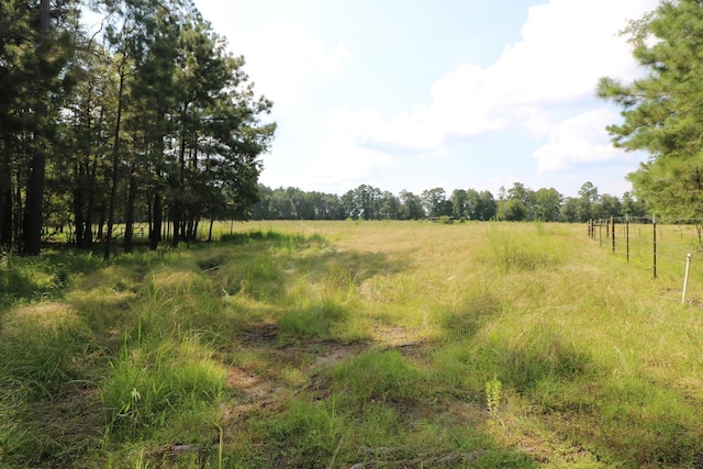 view of local wilderness featuring a rural view