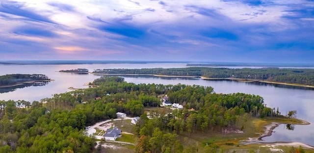 drone / aerial view featuring a forest view and a water view