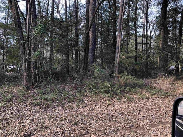 170 Ebbtide, Hemphill TX, 75948 land for sale