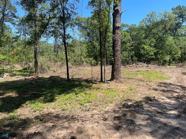 Listing photo 2 for R16018 Davisville Rd, Lufkin TX 75901