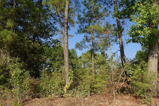 Listing photo 3 for TRACT04 N Cedar Rd, Apple Springs TX 75929