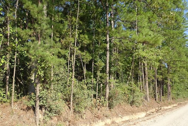 TRACT04 N Cedar Rd, Apple Springs TX, 75929 land for sale