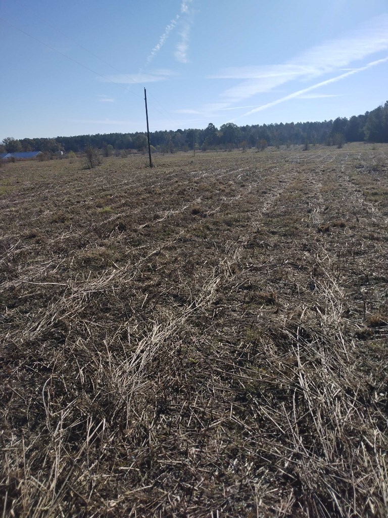 00 County Road 4868, Timpson, TX 75975