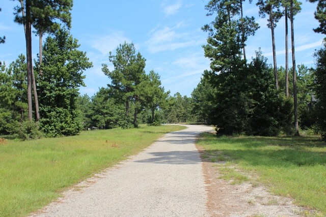 LOTS24 Cypress Hls, Jasper, TX 75951 - photo 20