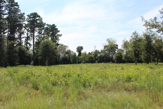 LOTS24 Cypress Hls, Jasper, TX 75951 - photo 17