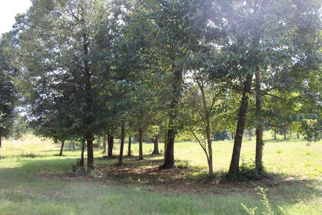 LOTS24 Cypress Hls, Jasper, TX 75951 - photo 13