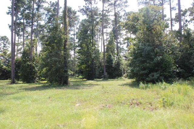 LOTS24 Cypress Hls, Jasper, TX 75951 - photo 18