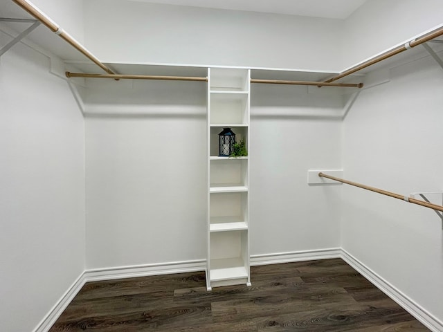 walk in closet with dark wood-style floors