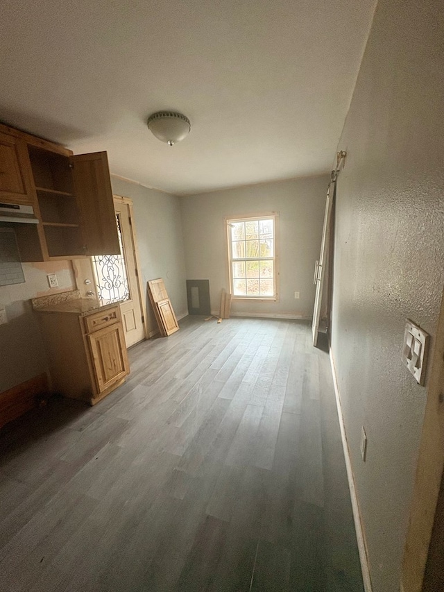 interior space with light wood-type flooring