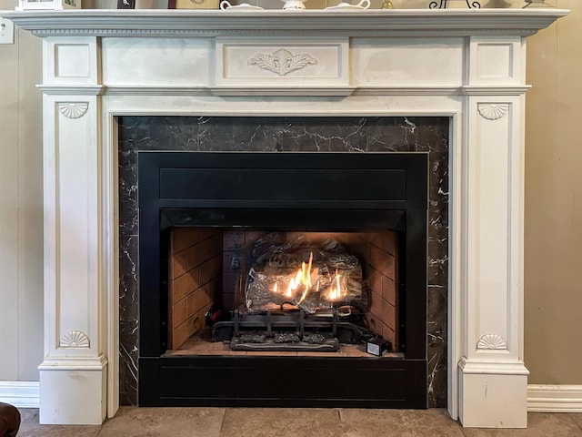 room details featuring a premium fireplace