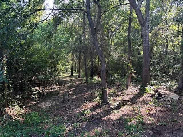 view of nature featuring a wooded view