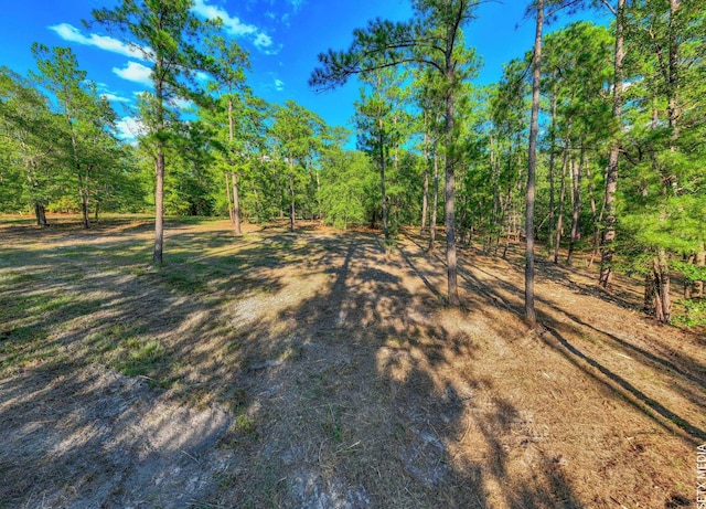 36131 Landsend Dr, Brookeland, TX 75931 - photo 3