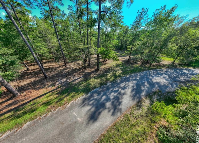 36131 Landsend Dr, Brookeland, TX 75931 - photo 11