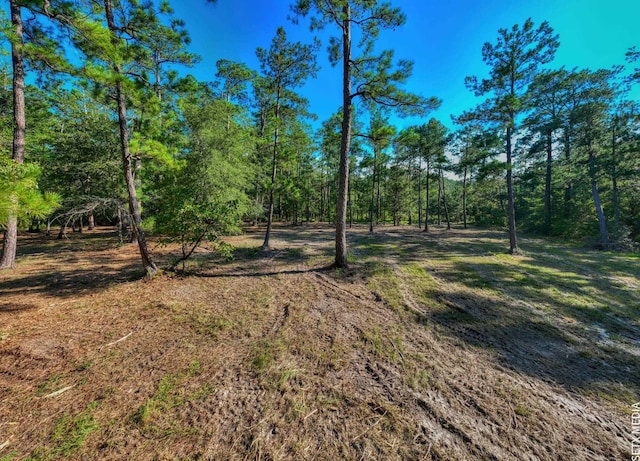 36131 Landsend Dr, Brookeland, TX 75931 - photo 12