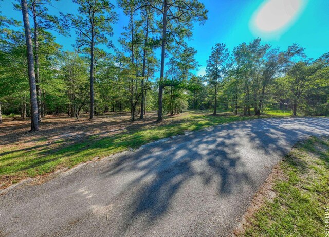 36131 Landsend Dr, Brookeland, TX 75931 - photo 10