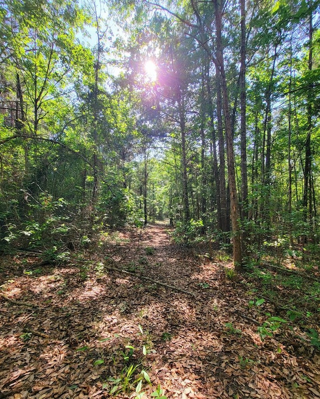 3994 County Road 774, Douglass, TX 75943 - photo 1